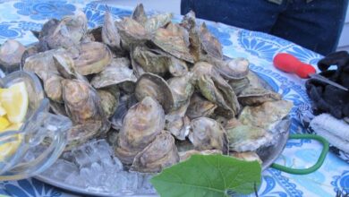 Maine Oyster Festival: Celebrate the Best of Oysters in Maine!