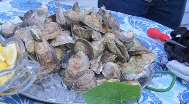 Maine Oyster Festival: Celebrate the Best of Oysters in Maine!