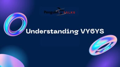 Understanding Vy6ys