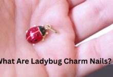 ladybug charm nails