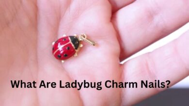 ladybug charm nails